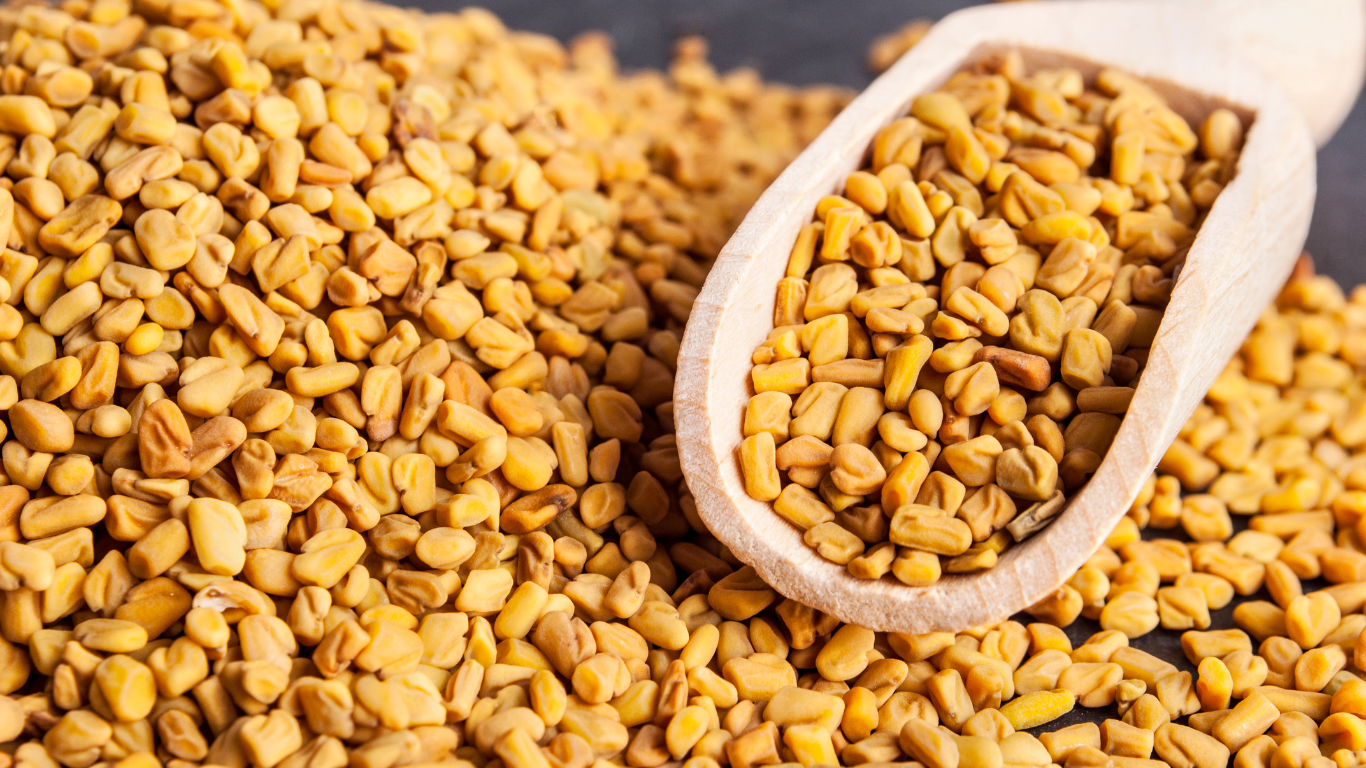 Fenugreek Seeds Exporter From India