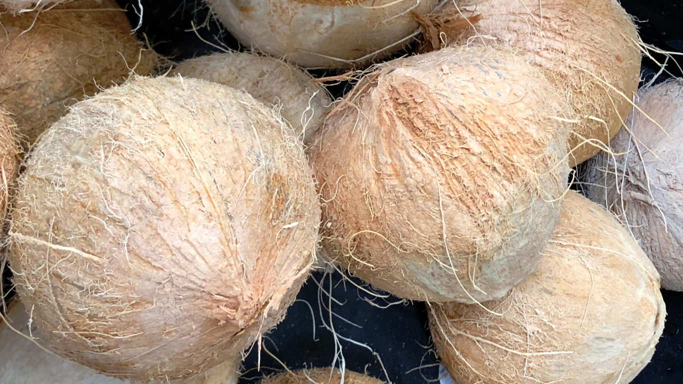 Husked Coconut Exporter From India