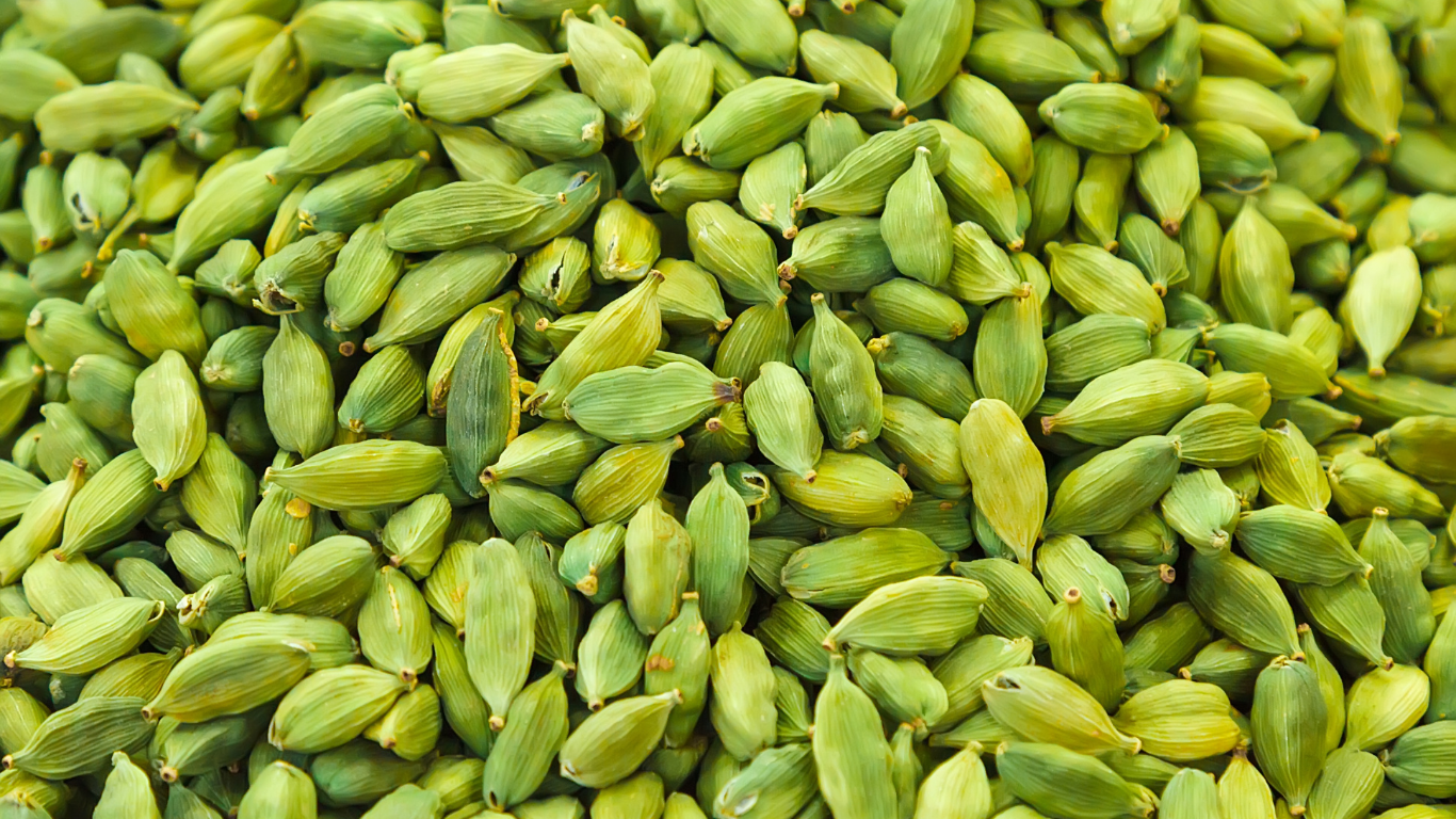 Cardamom Exporter From India