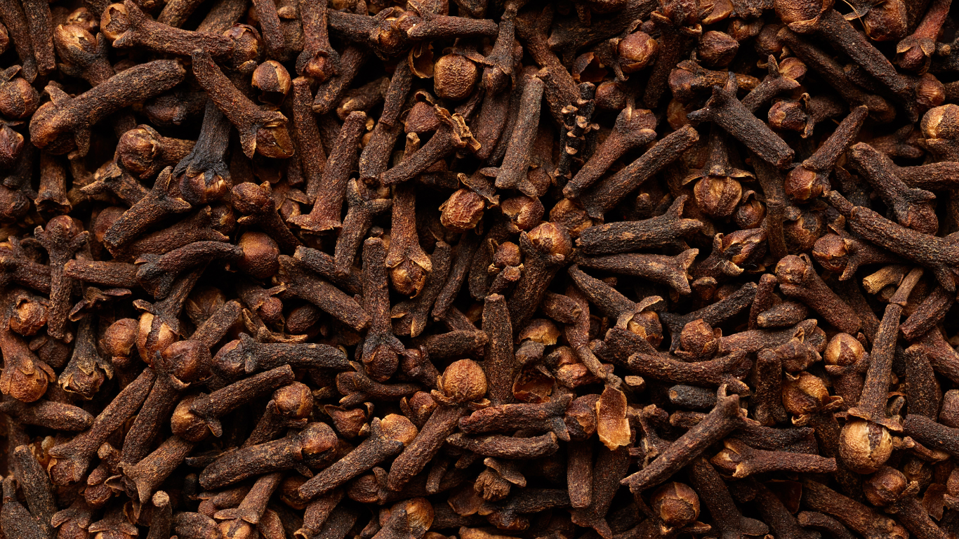 Cloves Exporter From India