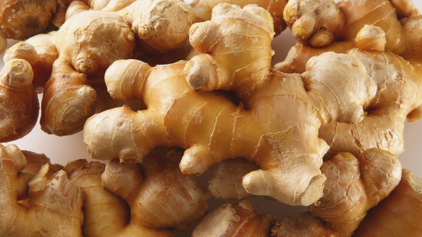 Fresh Ginger Exporter From India