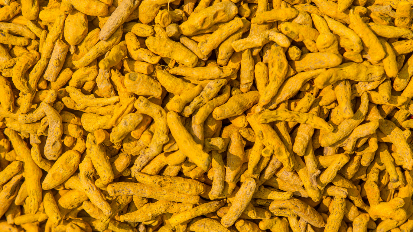 Turmeric Finger Exporter From India