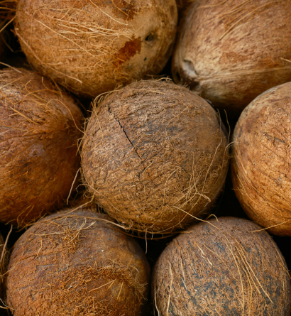 Fresh Coconuts