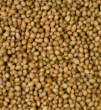 Coriander Seeds