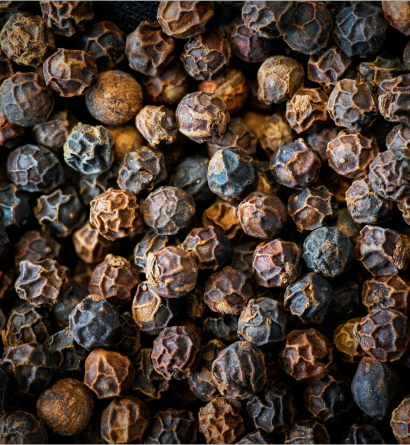Black Pepper